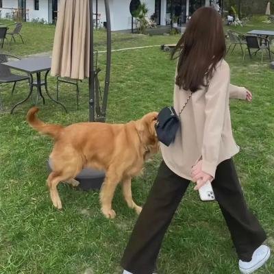 梦墙